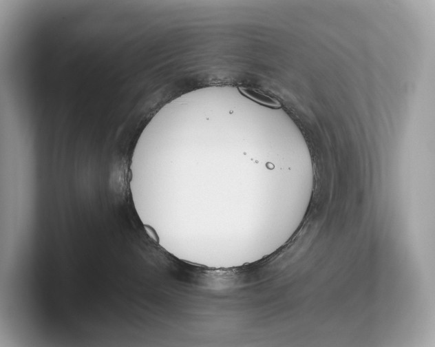 X0000101390240200807211019