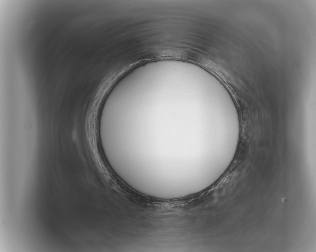 X0000101390241200807211019