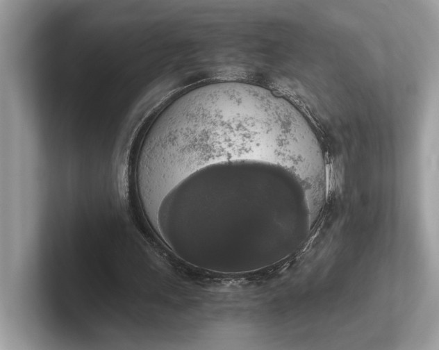 X0000101390243200807211019