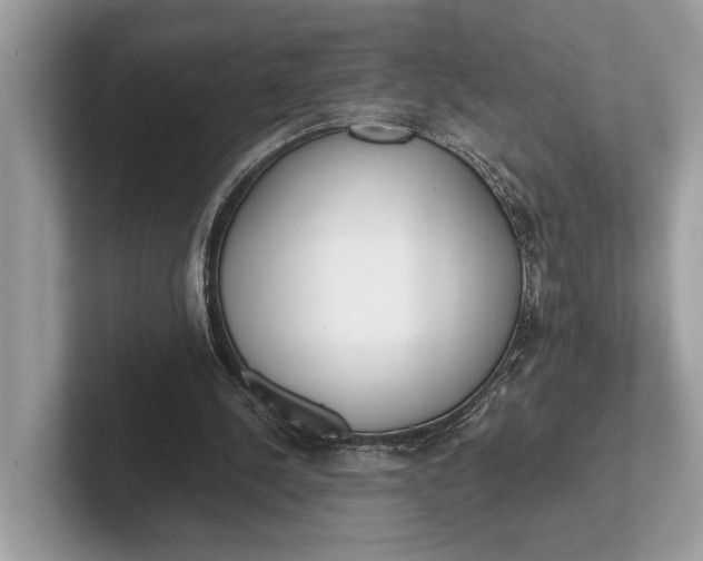 X0000101390244200807211019