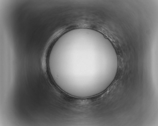 X0000101390245200807211019