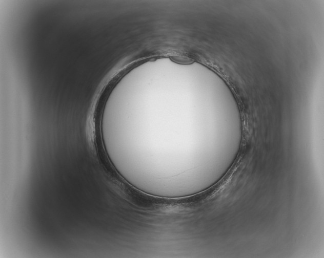 X0000101390246200807211019