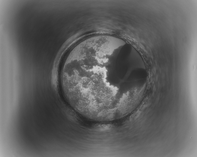 X0000101390247200807211019