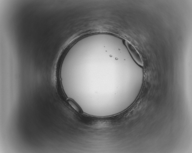 X0000101390248200807211019