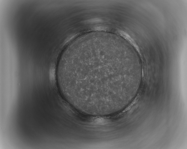 X0000101390249200807211019