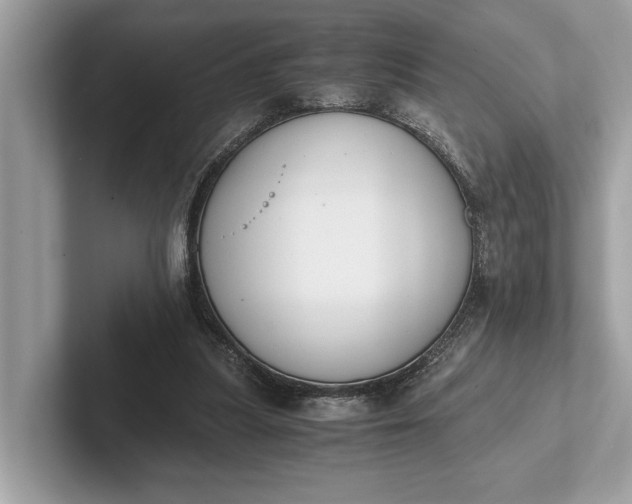 X0000101390251200807211019