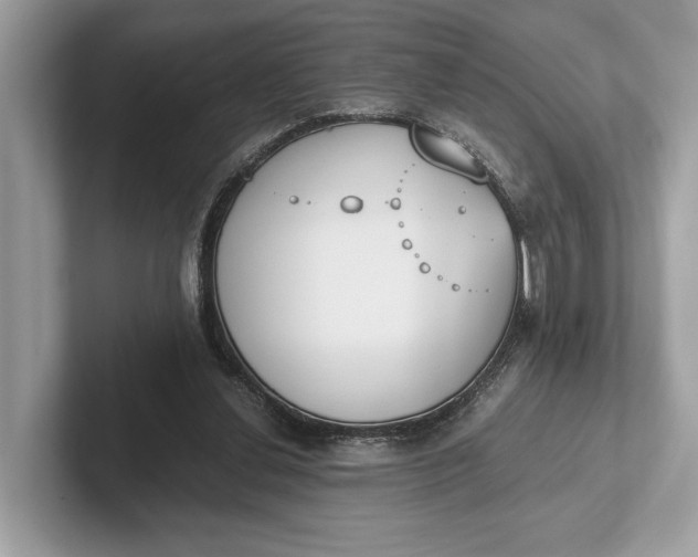 X0000101390252200807211019