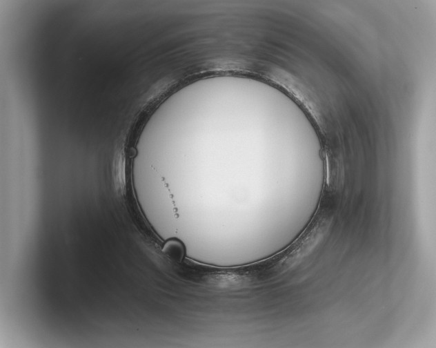 X0000101390253200807211019