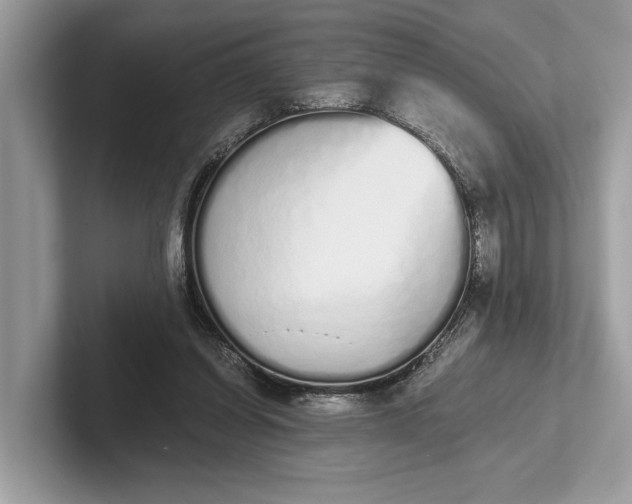 X0000101390254200807211019