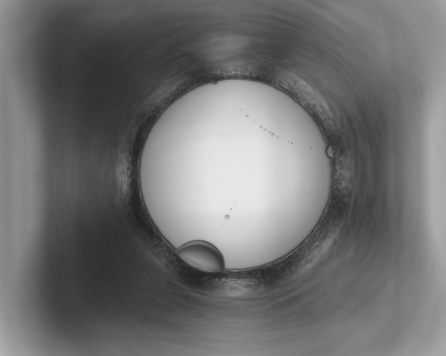 X0000101390255200807211019