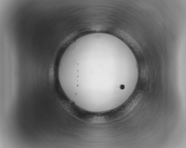 X0000101390256200807211019