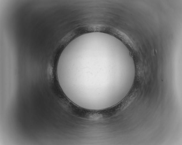 X0000101390258200807211019