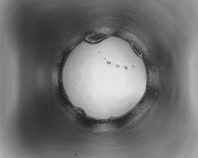 X0000101390259200807211019