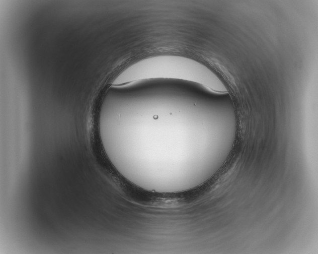 X0000101390260200807211019