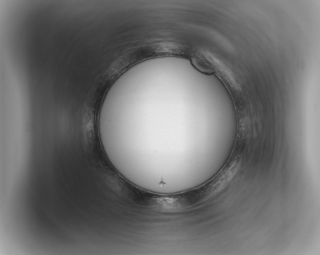 X0000101390265200807211019