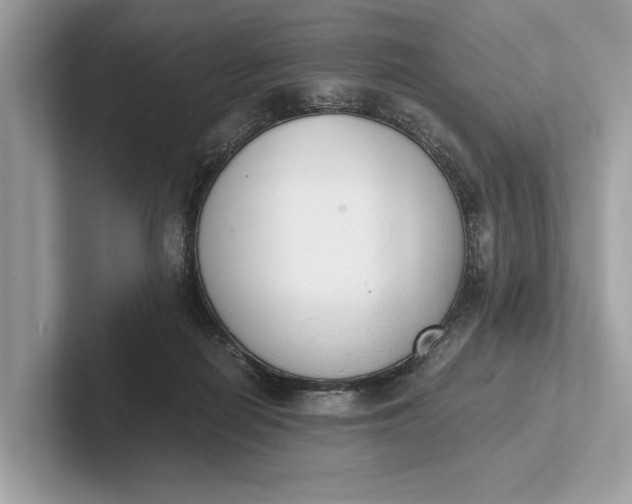 X0000101390266200807211019