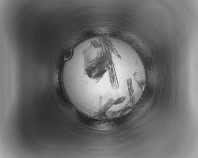 X0000101390267200807211019