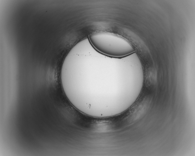 X0000101390268200807211019