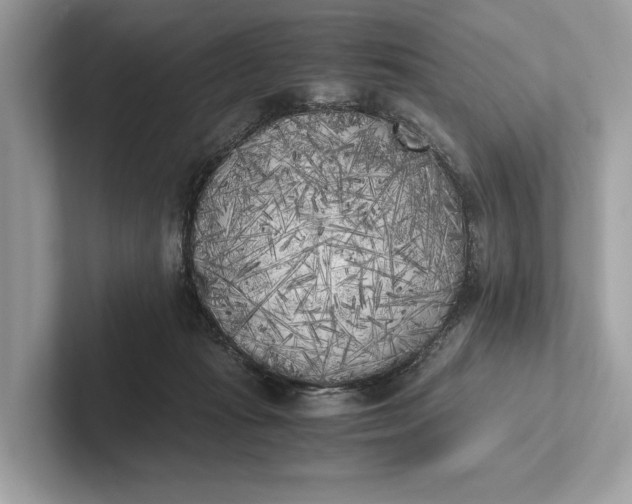 X0000101390269200807211019