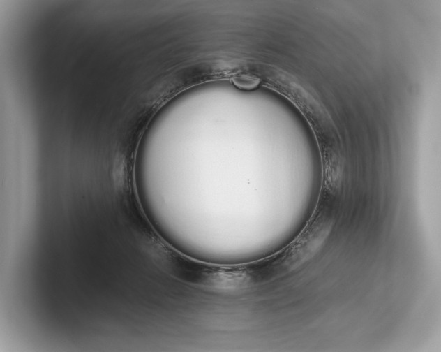 X0000101390270200807211019