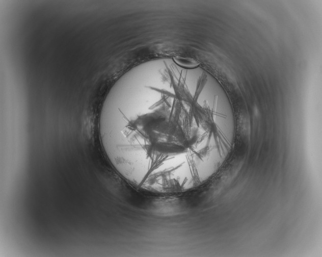 X0000101390271200807211019