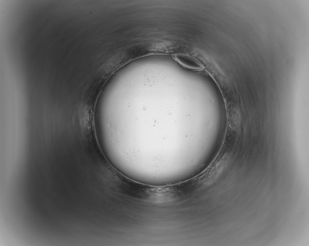 X0000101390273200807211019