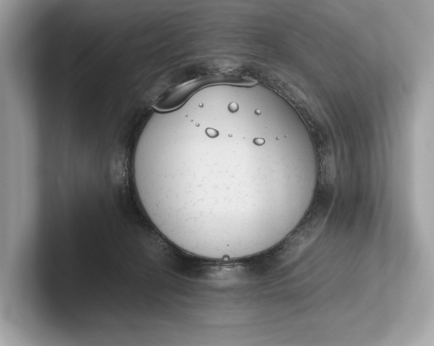 X0000101390274200807211019