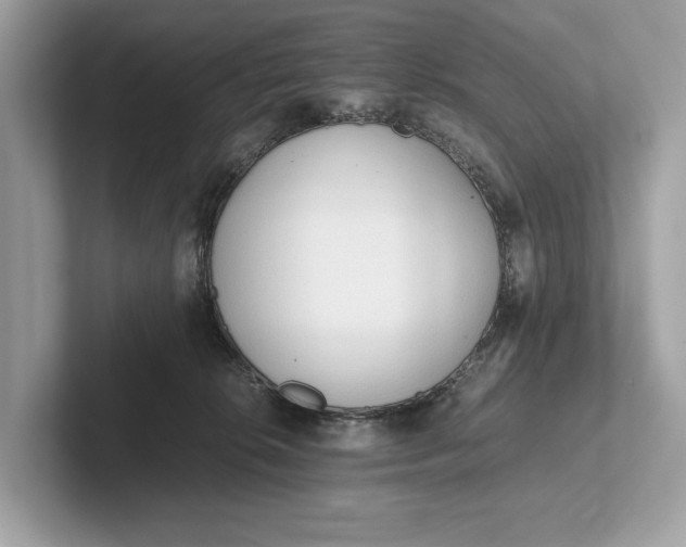 X0000101390276200807211019