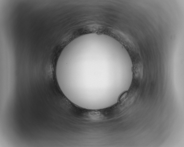 X0000101390279200807211019