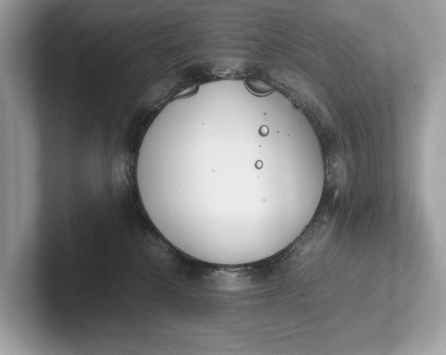 X0000101390280200807211019