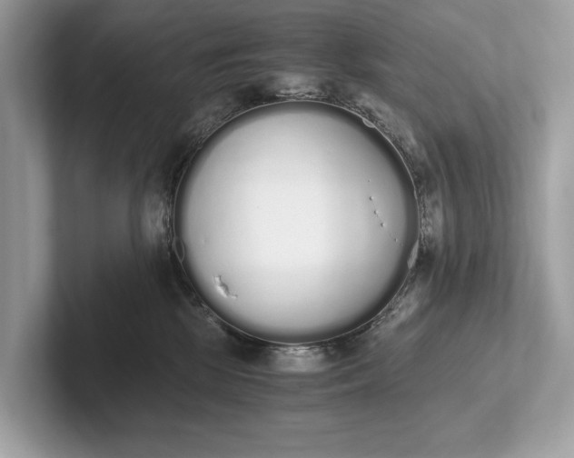 X0000101390281200807211019