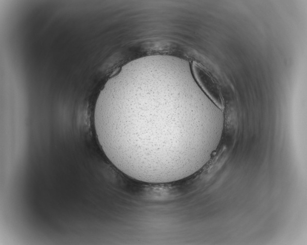 X0000101390282200807211019