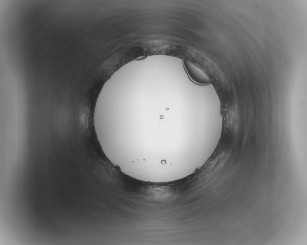 X0000101390283200807211019