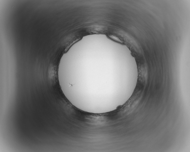 X0000101390284200807211019