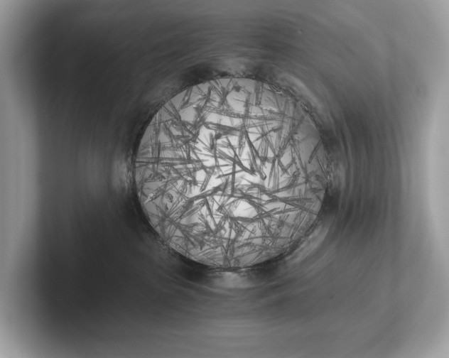 X0000101390285200807211019