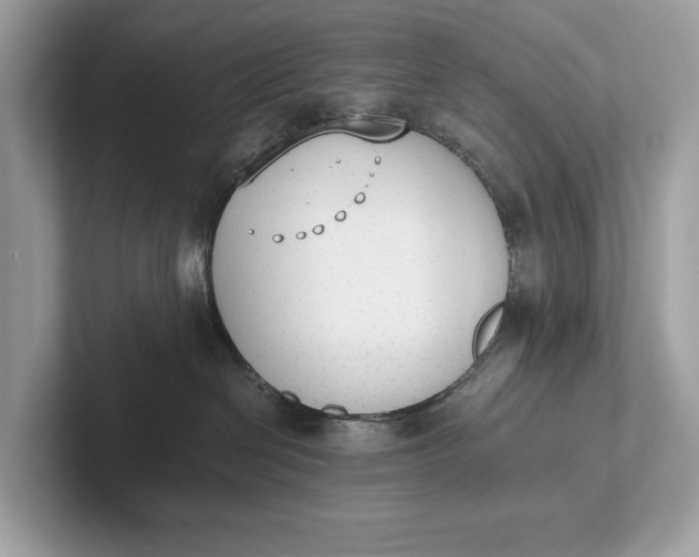 X0000101390286200807211019