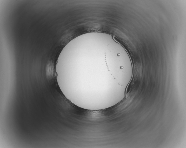 X0000101390287200807211019