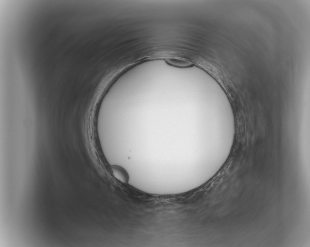 X0000101390289200807211018