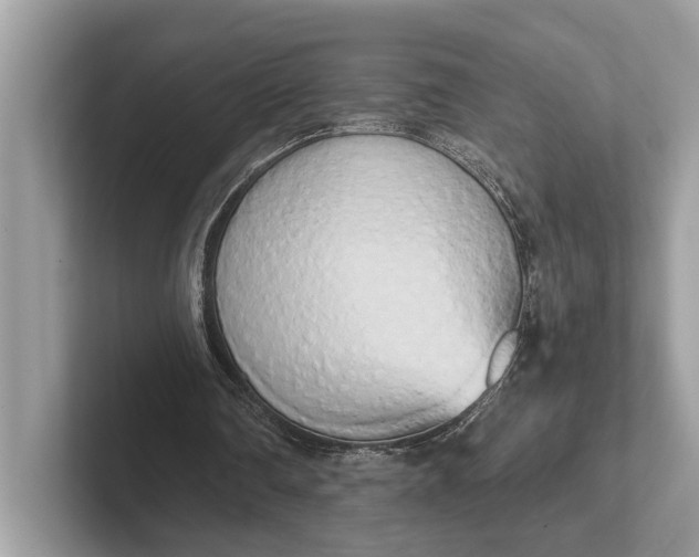 X0000101390290200807211018