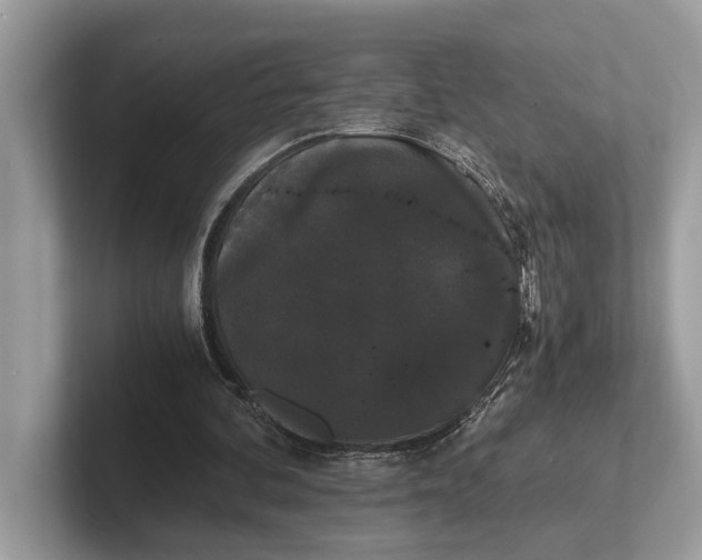 X0000101390292200807211018