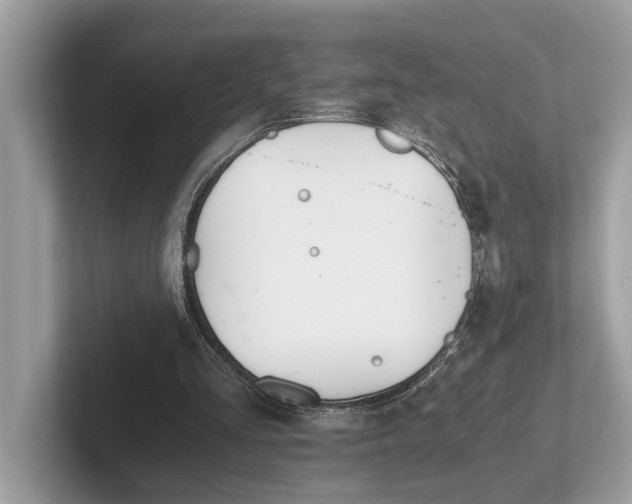 X0000101390293200807211018