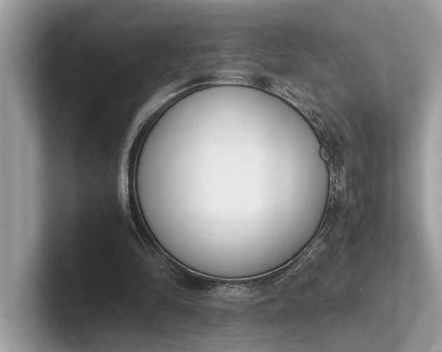 X0000101390294200807211018