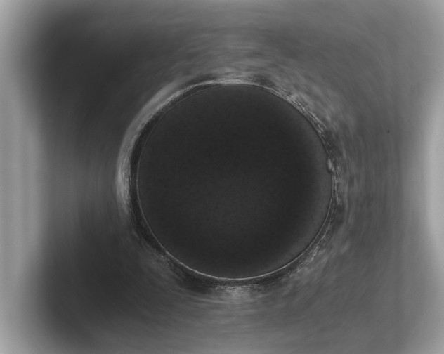 X0000101390295200807211018