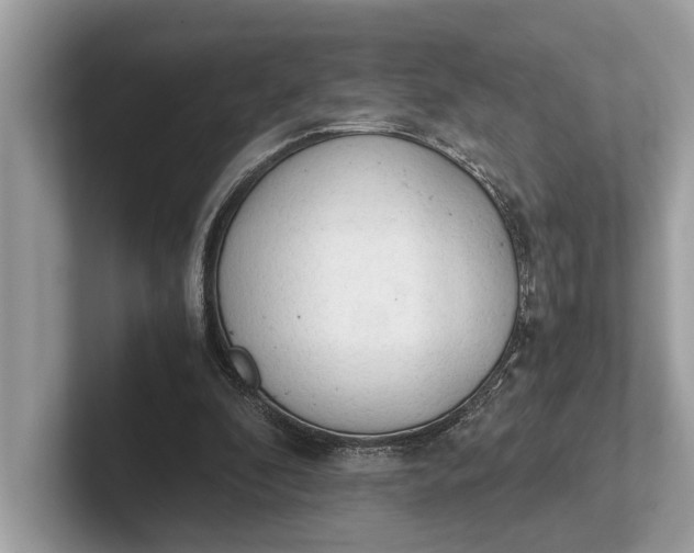 X0000101390296200807211018