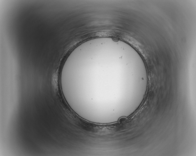 X0000101390297200807211018