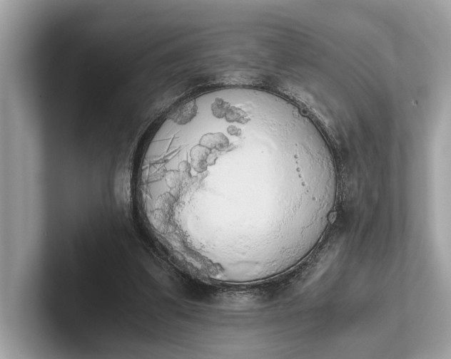 X0000101390299200807211018