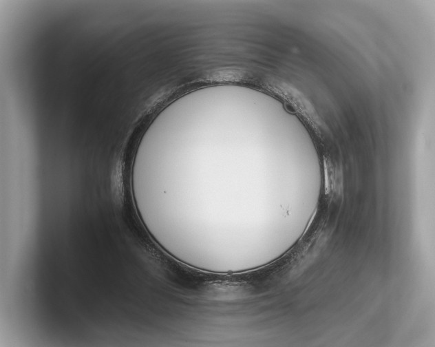 X0000101390300200807211018