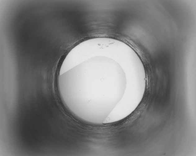 X0000101390301200807211018