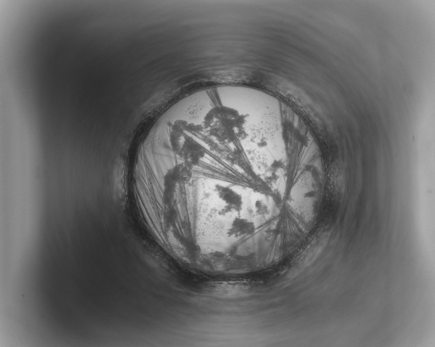 X0000101390303200807211018