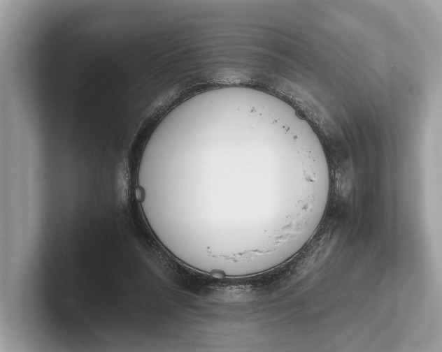 X0000101390304200807211018